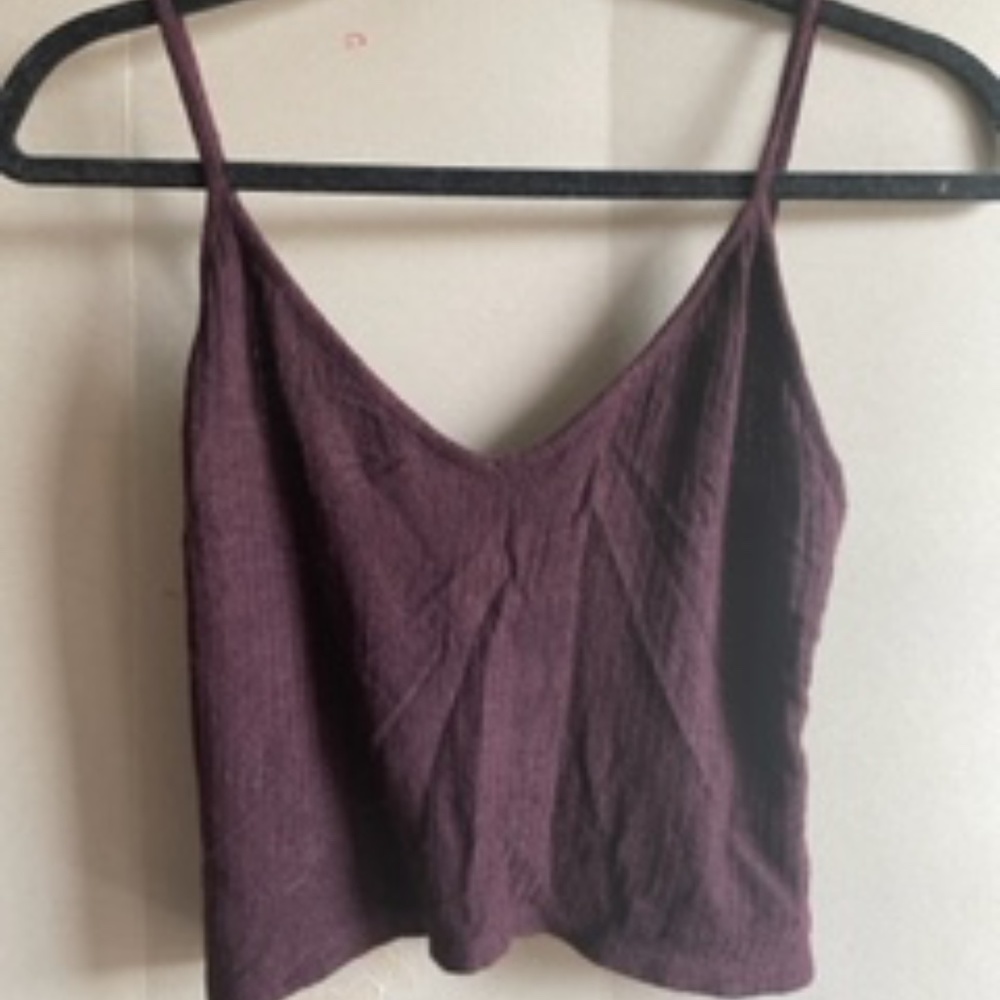 Maroon Brandy Melville Crop Top